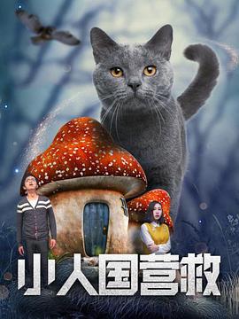 沈丘油价