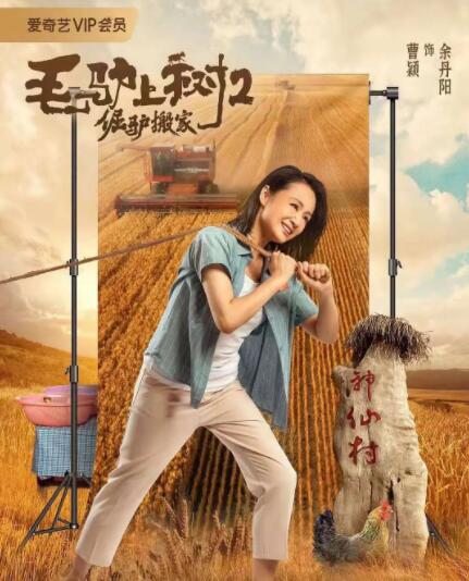 精品一区二区三区在线观看