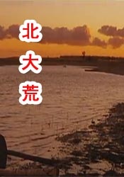 国产免费一区不卡在线